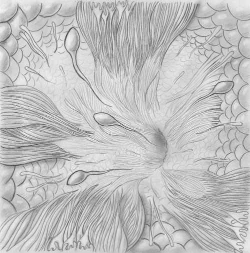 Mumps Orchitis Process Work